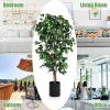 6 Feet Artificial Ficus Silk Tree