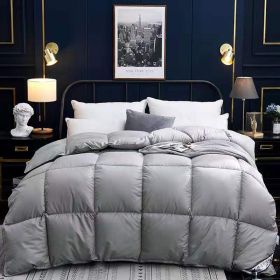 Down Duvet, Winter Duvet, Goose Down Duvet Core, Air Conditioner (Option: Grey-150x200cm-4)