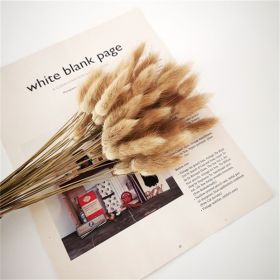 Dried Flowers Pampas Grass Mixed Bunny Rabbit Tail Lagurus Bouquet Wedding Christmas Decoration Natural Reed Flower Home Decora (Color: natural rabbit tail)